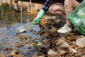 Picture of shoreline garbage cleanup