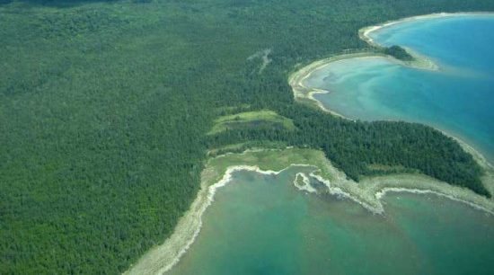 Over 26,000 Acres of Cockburn Island Are Now Protected