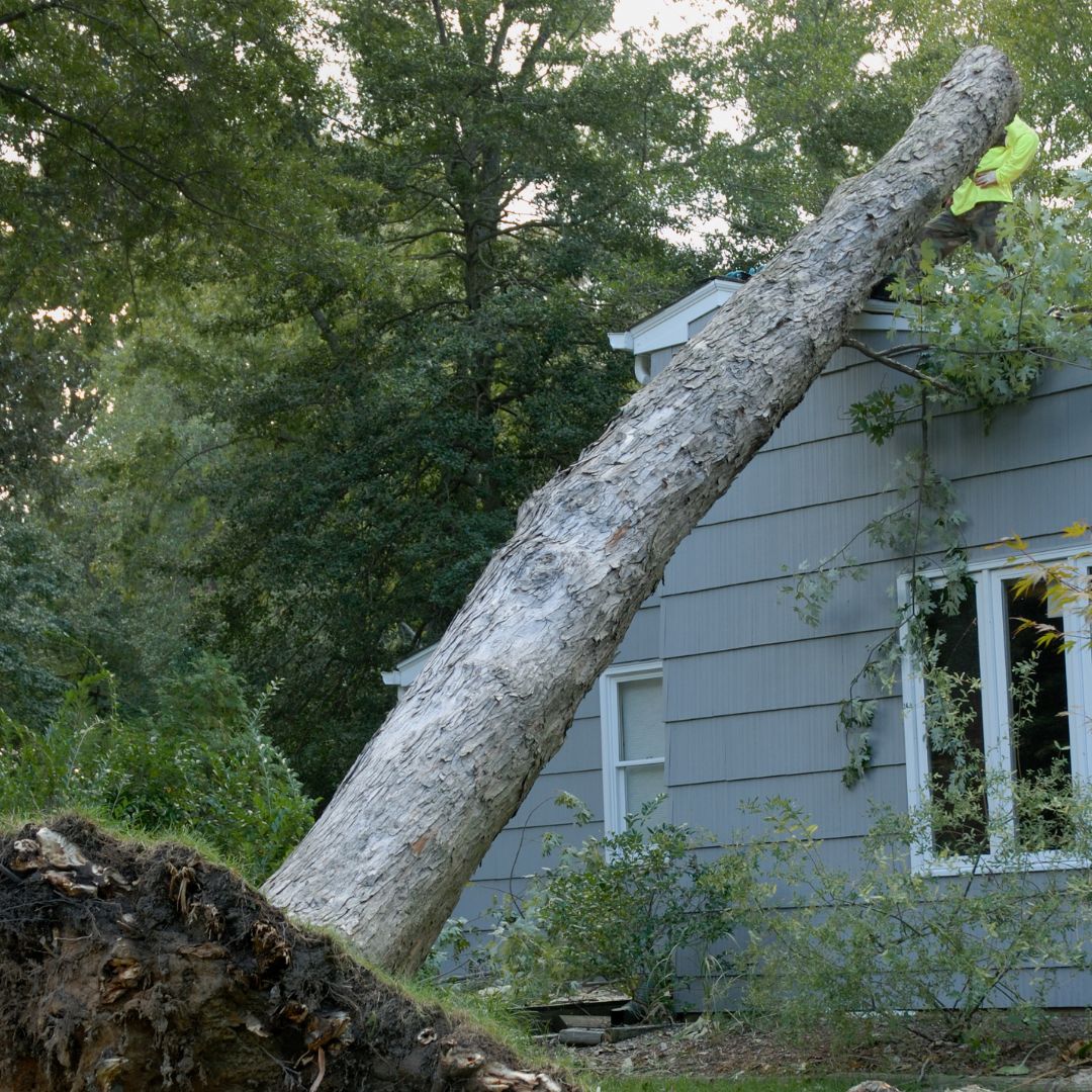 Are You Covered? Some Important Cottage Insurance Considerations