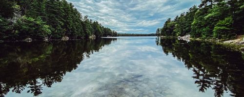 Watershed Stewards Honoured In 2022 Recognition Program GBA   Muskoka Watershed 