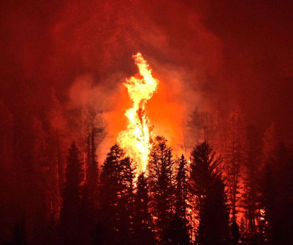 The 2025 Fire Season Has Begun